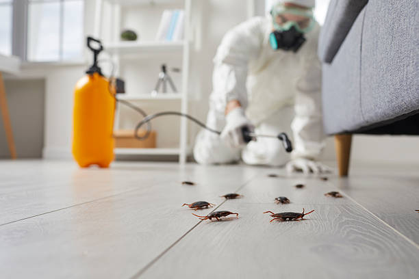Post-Treatment Bed Bug Interceptor Monitoring in Blountstown