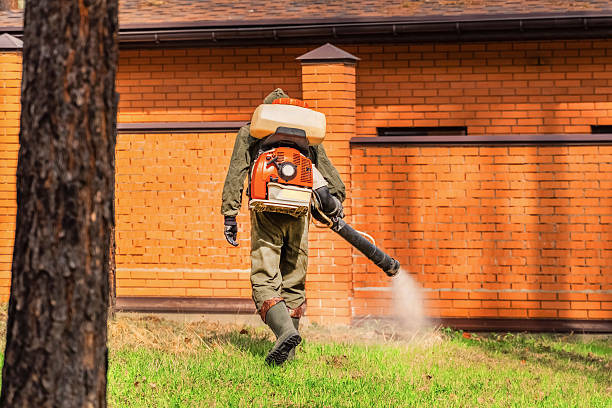 Bed Bug Clearance Verification and Documentation in Blountstown
